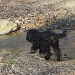 Yeshi am Bach