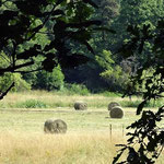 Es ist Sommer - typisches Bild - Heuballen