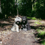 Mon-sha und Yeshi beim Waldspaziergang