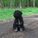 Spaziergang mit Yeshi im Wald - Mai 2014