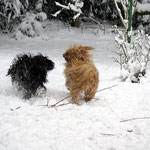 Oma Bya-ra, die Powerfrau, liebt es mit Enkel Yeshi im Schnee zu toben
