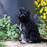 Yeshi im Garten