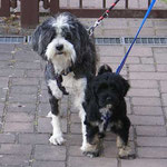 Ur-Opa Gesar und Bommel
