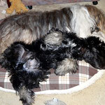 Yeshi und Milka - Mama und Sohn beim Relaxen