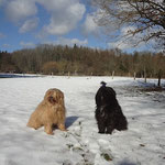 Bya-ra und Kar-mi im Schnee - 25.2.15
