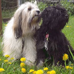 Mutter und Sohn - Milka und Yeshi