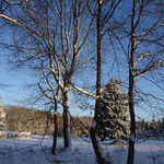 Wintermorgen