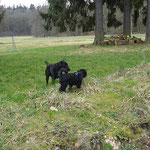 Yeshi trifft Mamas Freund Balou 