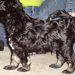 Fast erwischt - Yeshi in Pose