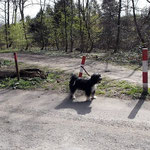 Enya unterwegs