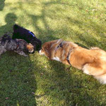 Femi, Yeshi und Dobby