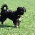 Yeshi - 5 Monate alt