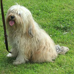 Milkas Schwester Sally (Minnie) - 6 1/2 Jahre alt