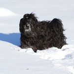 Yeshi im Schnee