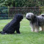 Zu Besuch bei den Cho-oyus:  Li-ma und Yeshi beim Toben und Spielen
