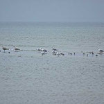 Jerup Strand