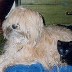 Indra mit Katze Sheila