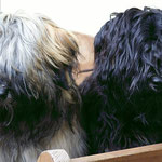 Die Jungs: Mons-sha und Yeshi - Juli 2014