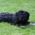 Zu Besuch bei den Cho-oyus: Yeshi - 13.4.2014