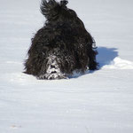 Yeshi im Schnee