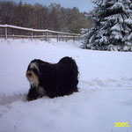 Gesar im Schnee