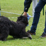 Yeshi in Gudensberg - Jüngstenklasse - 29.6.14 - Spieli gewonnen!