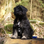 Yeshi, mein "Junior" 