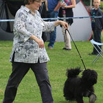 Yeshi und ich im Ring in Groß-Gerau, 1.6.14, Jüngstenklasse