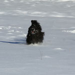 Yeshi im Schnee