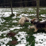 Mutter und Tochter beim Toben auf der Wiese