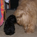 Oma Bya-ra und Yeshi beim Flirten