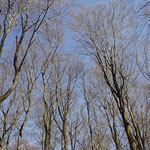Frühling