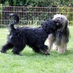 Zu Besuch bei den Cho-oyus:  Li-ma und Yeshi beim Toben und Spielen