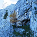 Einstieg bei der Höhle; ca. 1 Stunde vom Gasthaus Trisselwand
