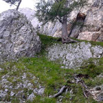 Einstieg bei Höhle