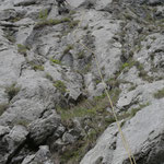 knifflige Platte in der 2. SL (VI+); ". Stand nach dem Bäumchen