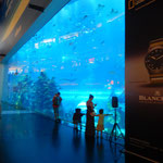 Aquarium in der riesigen Shopping-Mall.