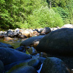 Lynn Canyon