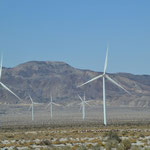 Windpark 