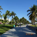 Welcome to Miami Beach!