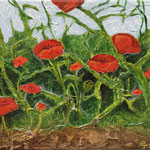 Mohn, 2025, 24/30 (vergeben)