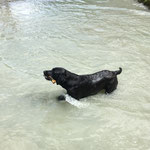 ab ins Wasser