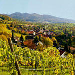 Das schöne, märkische Land