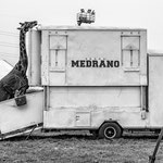 Fotografia di Gianni Maffi -  Circo Medrano 2, Assago (MI) - 2015