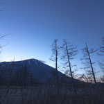 『夜が明けるトキ』（栃木県・戦場ヶ原）/2019.04.02/EOSkissX8i