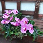 Urnenschmuck mit Orchideen
