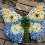 Arrangement in Schmetterlingsform