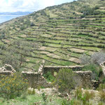 Sampaya e os terraços incas