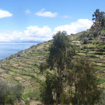 Sampaya e os terraços incas