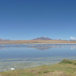 Lagoa Hedionda e os flamingos